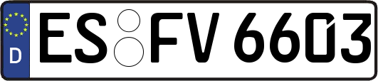 ES-FV6603