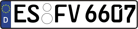 ES-FV6607