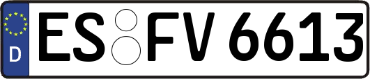 ES-FV6613