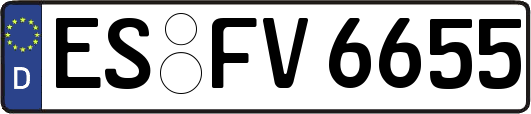 ES-FV6655