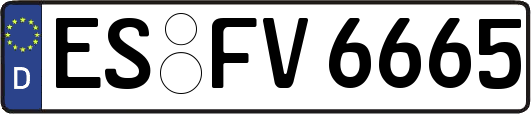 ES-FV6665