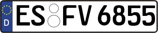 ES-FV6855