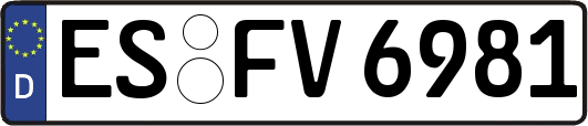 ES-FV6981