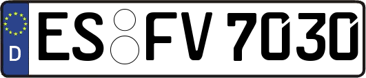 ES-FV7030
