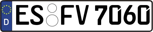 ES-FV7060