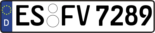 ES-FV7289