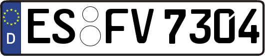 ES-FV7304