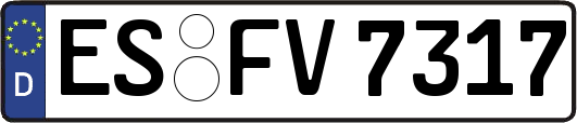 ES-FV7317