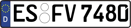 ES-FV7480