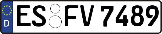 ES-FV7489