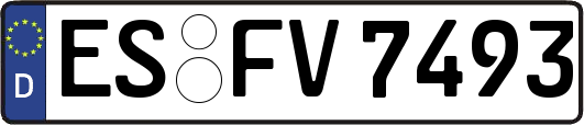 ES-FV7493