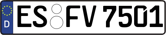 ES-FV7501