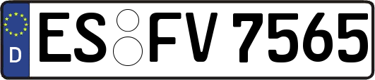 ES-FV7565