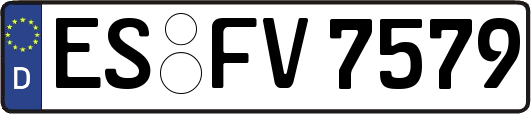 ES-FV7579