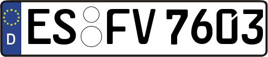 ES-FV7603