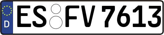 ES-FV7613