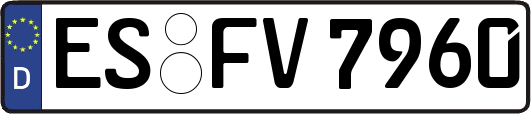 ES-FV7960