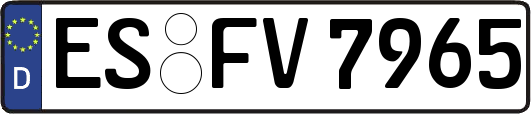 ES-FV7965