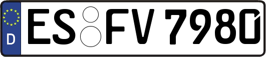 ES-FV7980