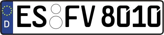 ES-FV8010