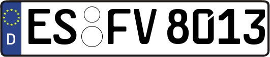 ES-FV8013