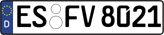 ES-FV8021