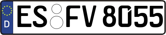ES-FV8055