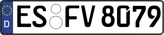 ES-FV8079