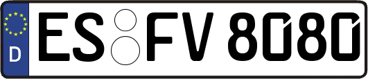 ES-FV8080