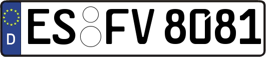 ES-FV8081