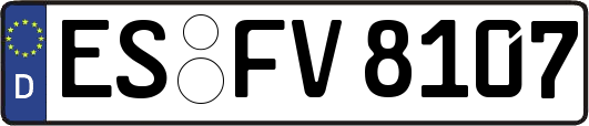 ES-FV8107