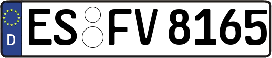 ES-FV8165