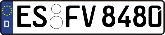 ES-FV8480