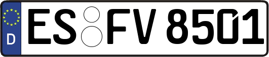 ES-FV8501