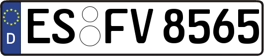 ES-FV8565