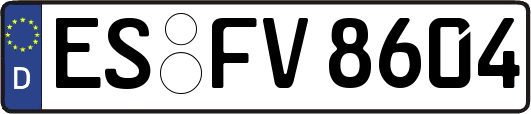 ES-FV8604