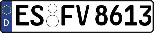 ES-FV8613