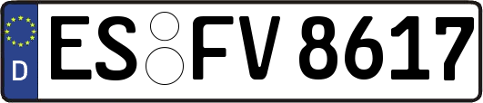 ES-FV8617
