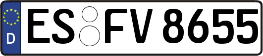 ES-FV8655