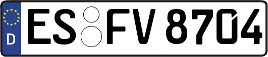 ES-FV8704