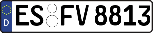 ES-FV8813