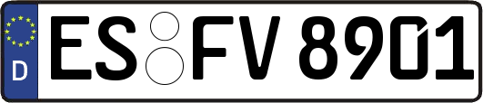ES-FV8901