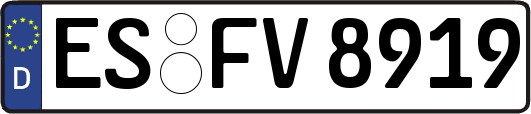 ES-FV8919