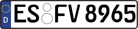 ES-FV8965