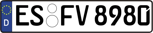 ES-FV8980