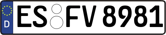 ES-FV8981