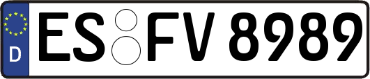 ES-FV8989
