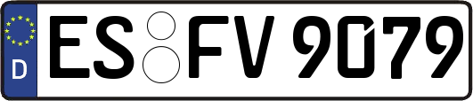 ES-FV9079