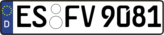 ES-FV9081