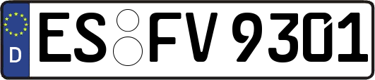 ES-FV9301